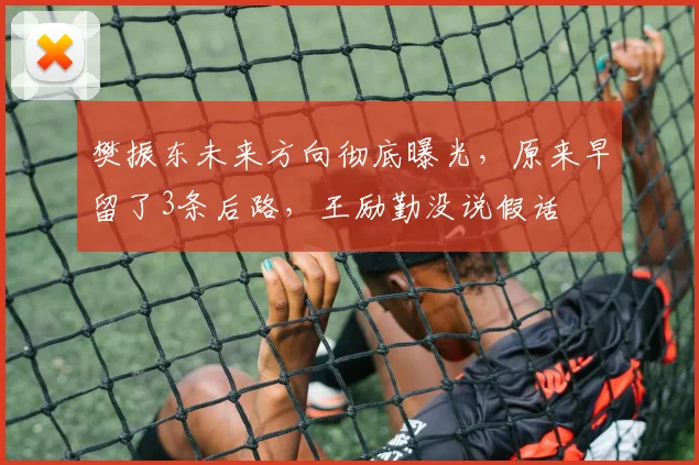 樊振东未来方向彻底曝光，原来早留了3条后路，王励勤没说假话