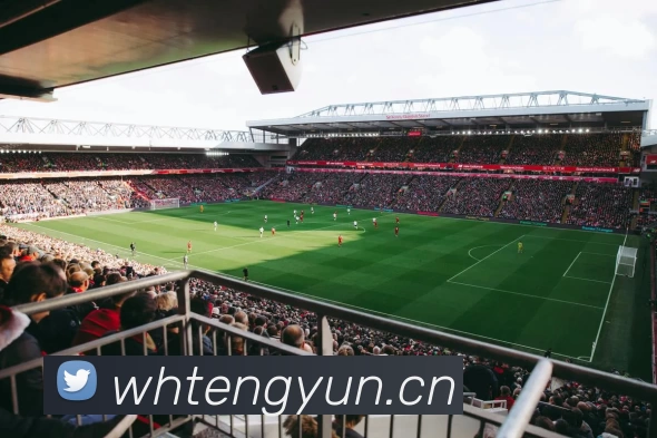 App Interface Preview