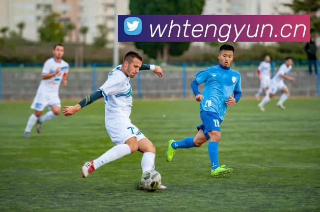 数据防护可视化